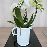 Apartment Chilliapartamenty - Blizej Morza - Bike