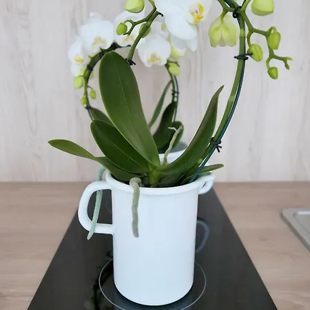 Apartment Chilliapartamenty - Blizej Morza - Bike